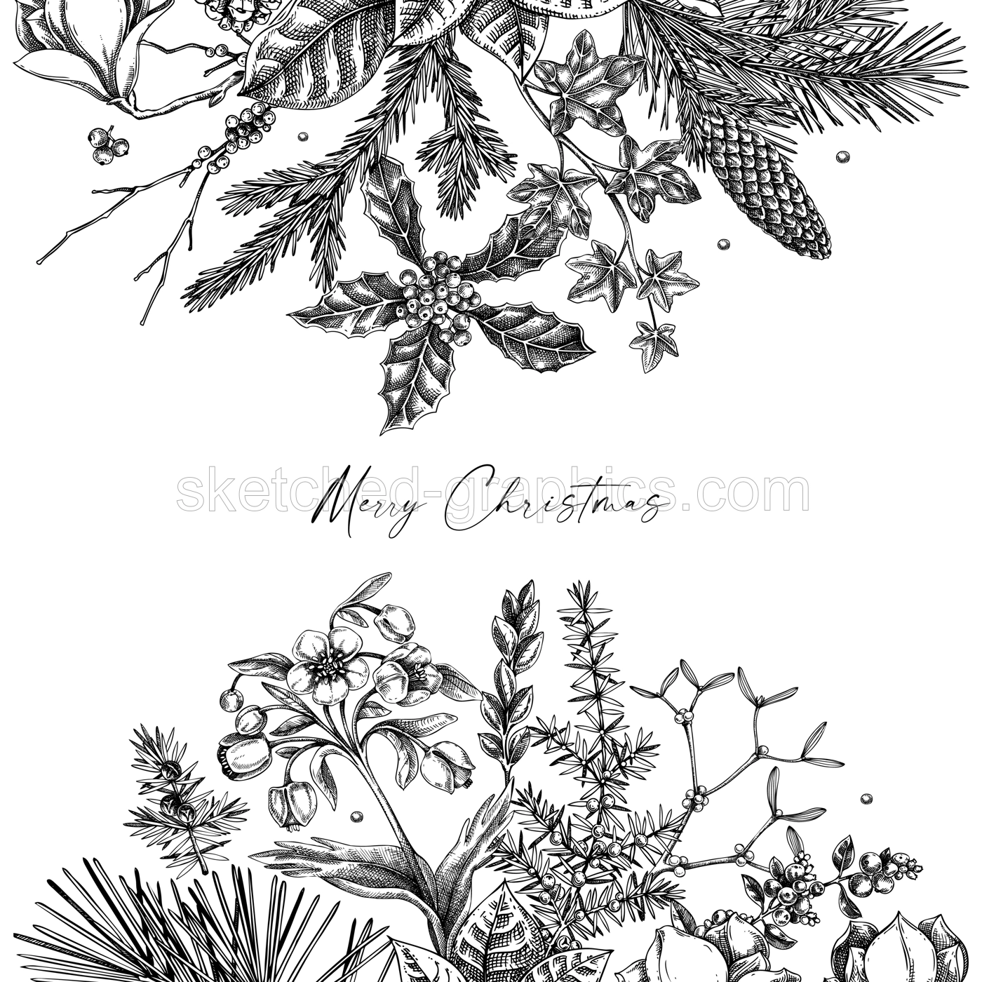 Merry Christmas card. Vintage frame with evergreen plants, conifers, and flower sketch. Winter vector design. Hand-drawn botanical illustrations. NOT AI generated image Illustration